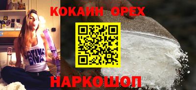 гашик Кандалакша
