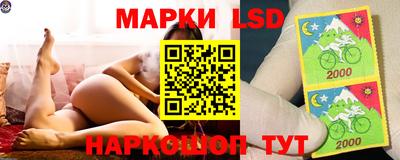 прущий лед Кингисепп