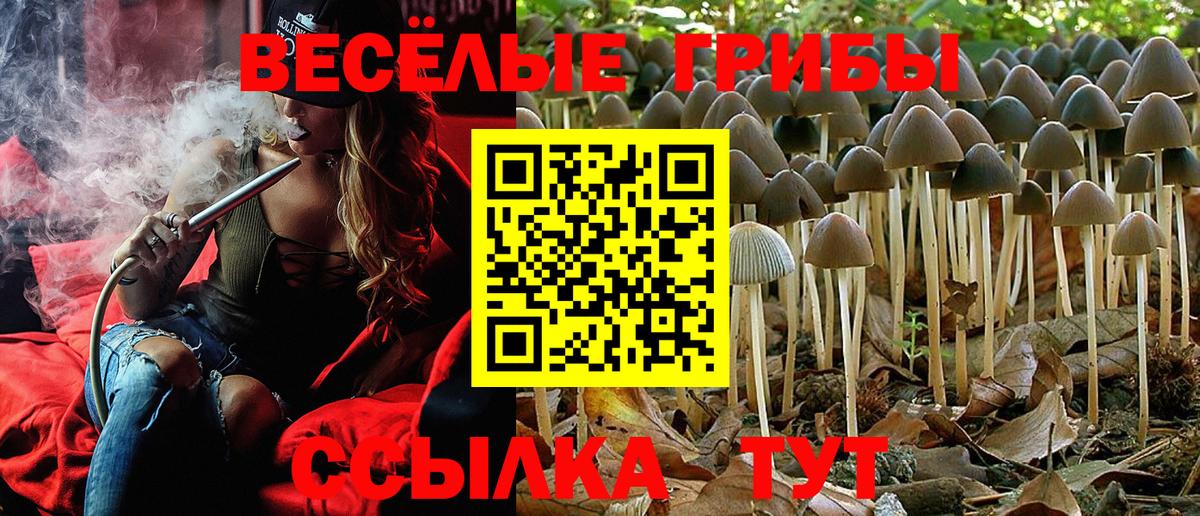 Галлюциногенные грибы ЛСД Ставрополь